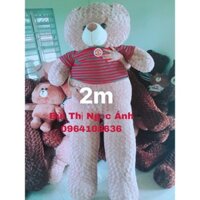 GẤU TEDDY 2m