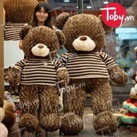 Gấu Teddy áo len sọc Chocolate