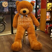 Gấu Teddy BOYDZ Nơ Caro