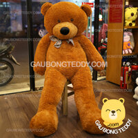 Gấu Teddy Boydz