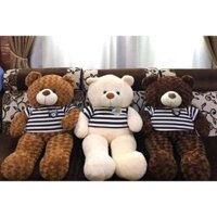 GẤU TEDDY, GẤU BÔNG TEDDY