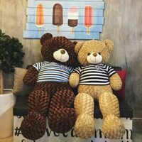 GẤU TEDDY KHỔ 1M2( Đứng 1m)