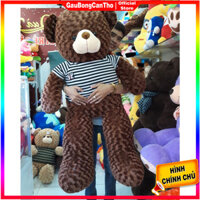 Gấu Teddy Khổ 1M4 Cao 1m2 mềm mịn vừa ôm