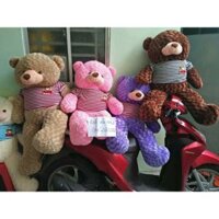 Gấu teddy khổ vải 1m2