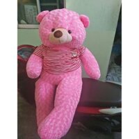 Gấu teddy khổ vải 1m6