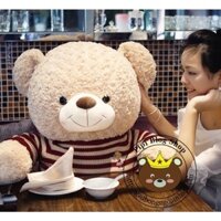 Gấu teddy len sọc ngang, hàng xịn loại 1