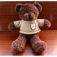 Gấu teddy lông xù