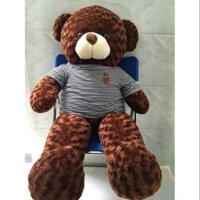 Gấu Teddy Nam