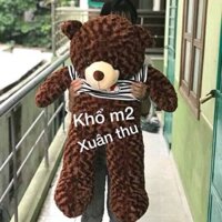 Gấu teddy nâu 1m2