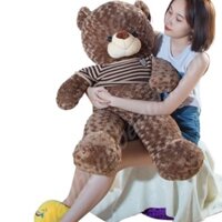Gấu teddy nâu khổ vải 1m2 Size thật 1m
