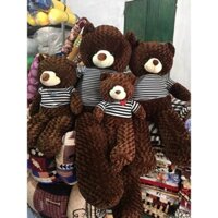 Gấu TEDDY nâu❤️❤️❤️ gâu bông teddy mặc áo