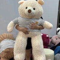 GẤU TEDDY SIÊU TO KHỔNG LỒ Size 1m2 - Gấu Bông - Thú Nhồi Bông - Búp Bê - Hà Gấu Bông