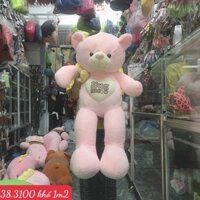 Gấu teddy size 1m2