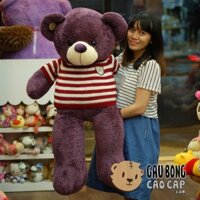 Gấu Teddy Tím áo len sọc