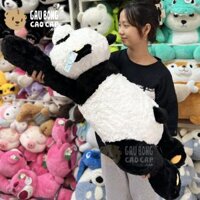 Gấu Trúc Panda nằm form dài