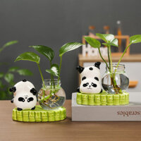 Gấu Trúc Thủy Canh Xanh Dill Bình Thủy Canh Đồ Trang Trí Phòng Khách Hoa Sắp Xếp Hoa Văn Phòng Ghế Làm Việc Nhà Bàn Làm Việc