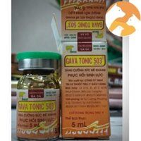 GAVA TONIC 503 [5 ml] Thuốc cho gà đá tăng sức đề kháng, phục hồi sinh lực