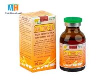 GAVA TONIC 503 (Nhãn cam)