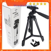 Gậy 3 Chân Chụp Hình Máy Ảnh, Điện Thoại Tripod Tf - 3120