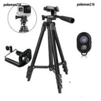 🎈Gậy 3 Chân Chụp Hình Máy Ảnh ,Điện Thoại 3120