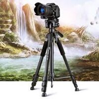 Gậy 3 chân tripod Yunteng 5208 có remote