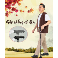 Gậy chống chân có đèn tập đi cho người già người bệnh A2
