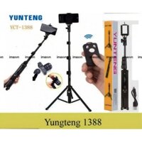 GẬY CHỤP ẢNH 3 CHÂN CAO CẤP YUNTENG VCT 1388 , KÈM REMOTE ( LOẠI 1 )