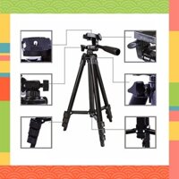 Gậy Chụp Ảnh 3 Chân Tự Đứng - TRIPOD 3120