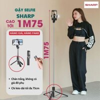 Gậy chụp hình 3 chân SHARP cao 1m7 thu gọn 31cm Cây livestream có đèn + remote + led