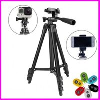 Gậy chụp hình 3 chân Tripod 3120 cho điện thoại máy ảnh