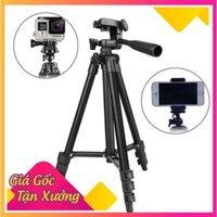 Gậy chụp hình 3 chân Tripod 3120 cho điện thoại máy ảnh