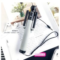 Gậy Chụp Hình Tự Sướng Selfie Stick Compact D12s