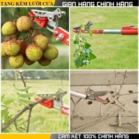 Gậy hái hoa quả cắt cành cây dài 3m - KÉO HÁI QUẢ - KÉO CẮT CÀNH TRÊN CAO DÀI 3M - Gậy hái hoa quả, sào cắt quả