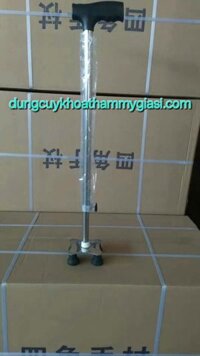 gậy inox 1 chân tập đi cho người già