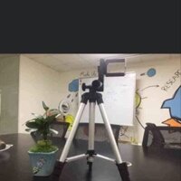 Gậy livestream