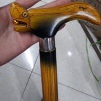 Gậy người già baton