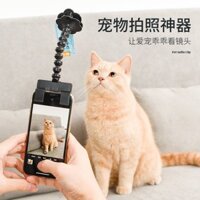 Gậy selfie cho mèo, đồ chơi gậy chụp ảnh cho chó mèo, kẹp điện thoại cho thú cưng [yfs]