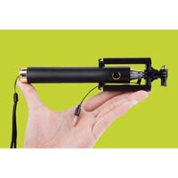 Gậy xi sắt - Gậy chụp hình tự sướng boconganh