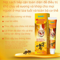 Gel Bôi Nọc Ong Giảm Đau Xương Khớp, giảm đau khớp Gối, Vai, Cổ,.. - Chiết Xuất Thảo Dược - Tuýp 20g