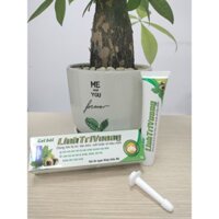 Gel bôi trĩ Linh Rti Vương- dùng khi bị trĩ, táo bón, nứt hoặc rò hậu môn. Tuýp 20mg.