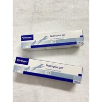GEL DINH DƯỠNG CHO MÈO NUTRI- PLUS GEL