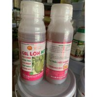 Gel lớn trái mít của quả cầu lửa chai 500ml