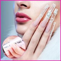 Gel Nail Kit Có Đầu Gel Nối Dài Nữ Bộ Móng Tay Nhân Tạo Có Gel Móng Tay Sơn Móng Tay Cọ Tẩy Tế Bào Chết Móng Tay hontinvn
