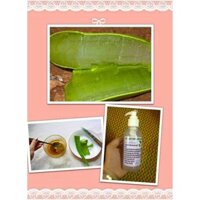 Gel nha đam Cầu Bình An