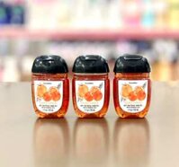 Gel Rửa Tay Khô Bath Body Works PocketBac Orange Sunrise 29ml