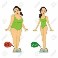 Gel tan mỡ pizu