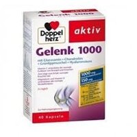 Gelenk 1000