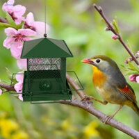 [Georgia] Chống Quấn Chim Ăn Dung Tích Chim Ăn Chim Treo Đẹp Cho Trang Trí Sân Vườn Chống Sóc Ngoài Trời Chim Hoang Dã Ăn Để Trang Trí Sân Đông Nam