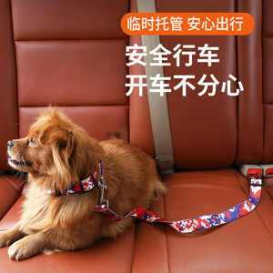 Ghế ăn dặm Teddy