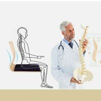 Ghế bệt tựa lưng Omachi T07